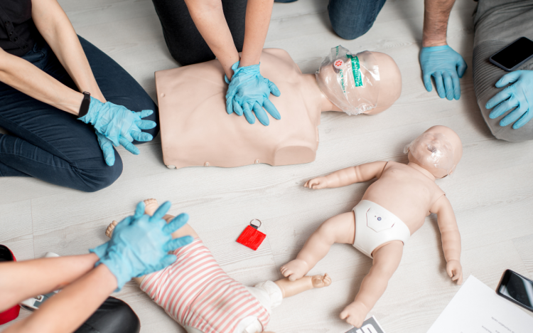 Arslan akademi ilk yardım eğitimi